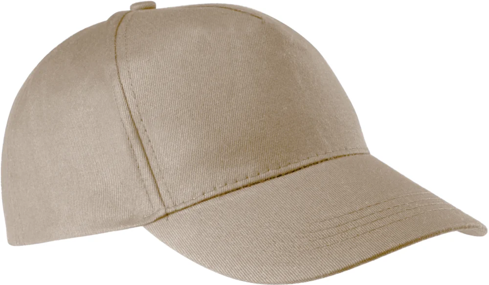 5 Panel Kappe