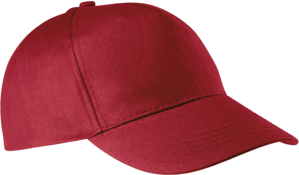 5 Panel Kappe