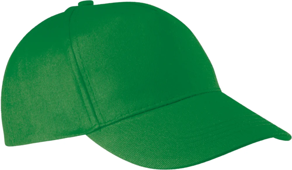 5 Panel Kappe