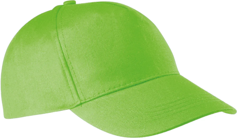 5 Panel Kappe