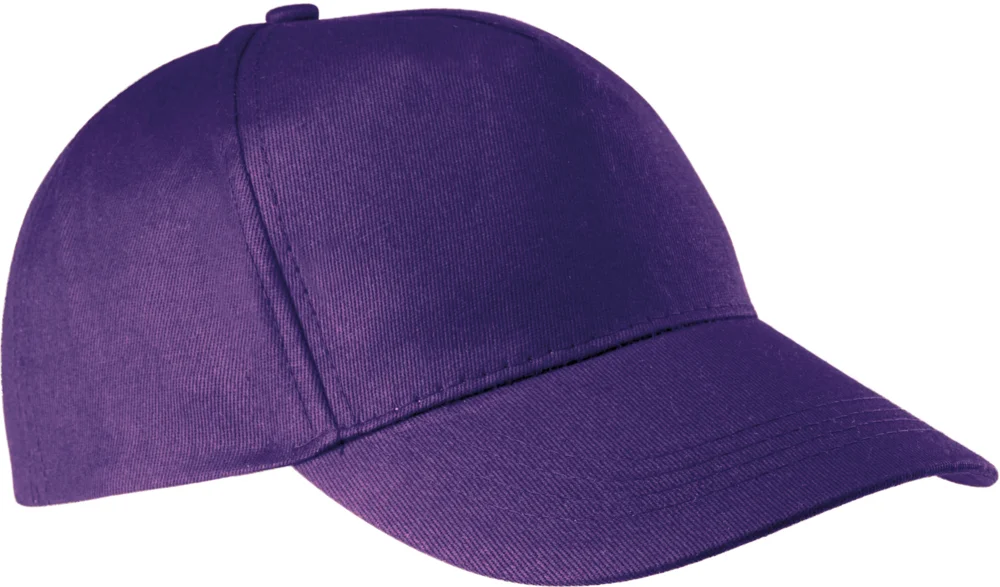 5 Panel Kappe