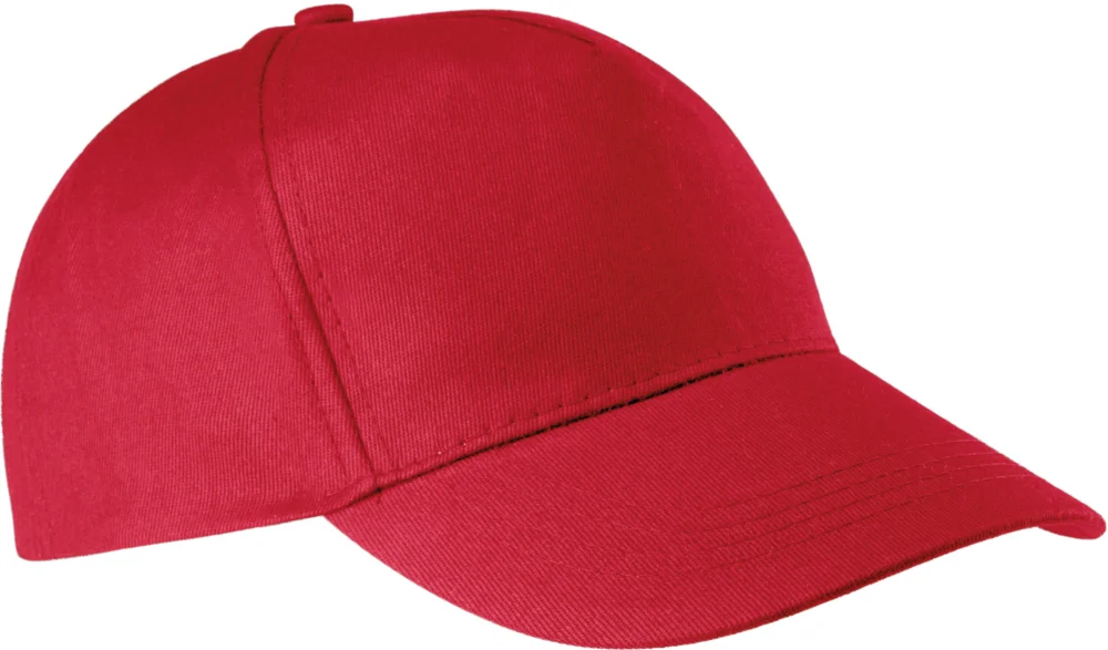 5 Panel Kappe