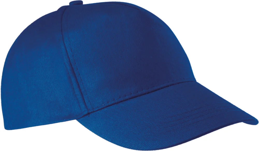 5 Panel Kappe
