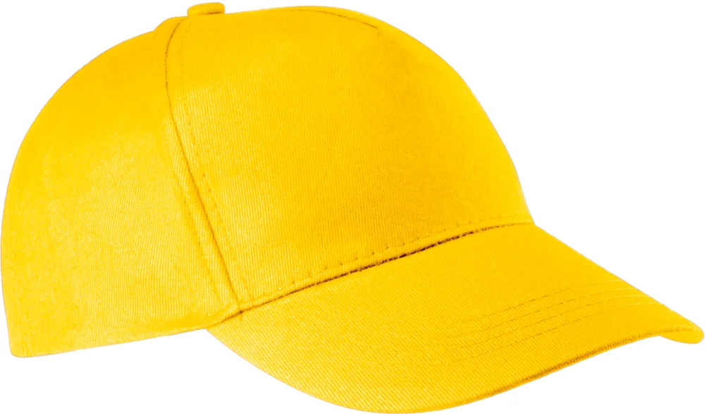 5 Panel Kappe