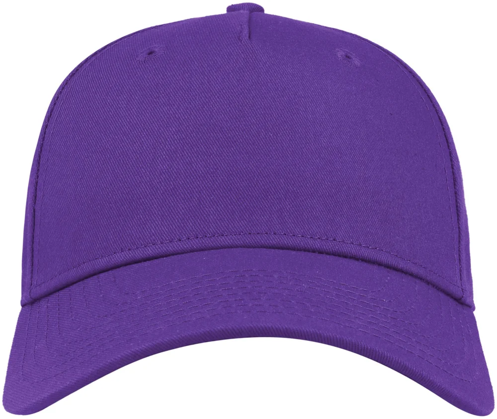 5 Panel Kappe