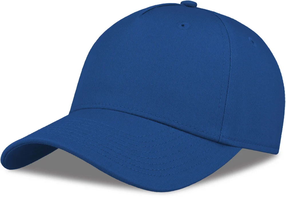 5 Panel Kappe