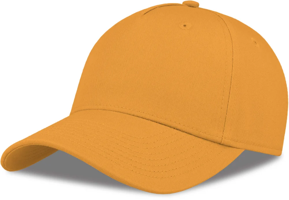 5 Panel Kappe