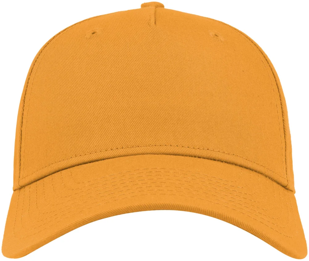 5 Panel Kappe