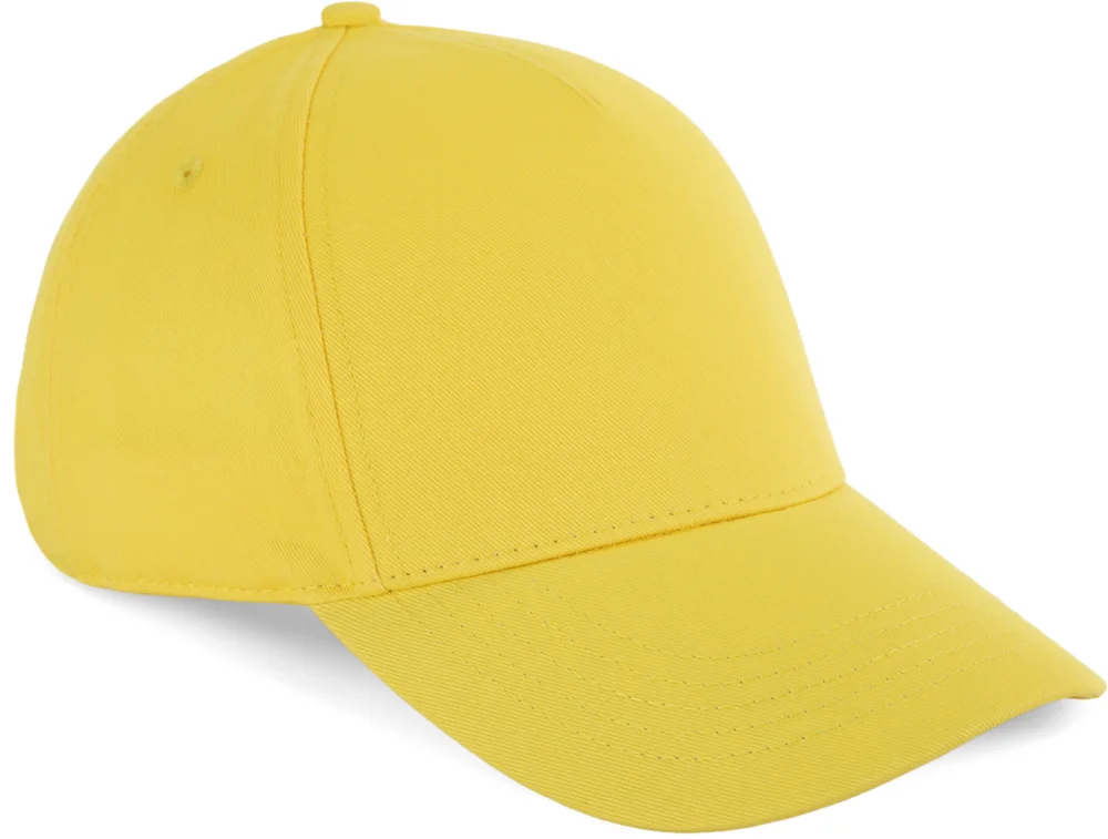 5 Panel Kappe