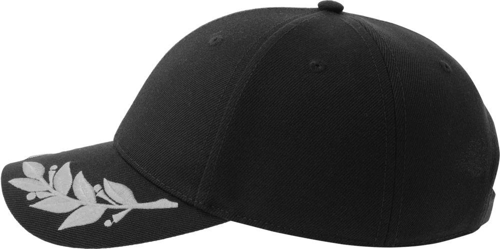 6 Panel Baseball Cap