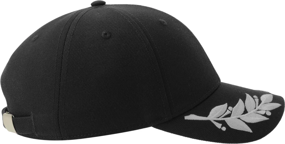 6 Panel Baseball Cap