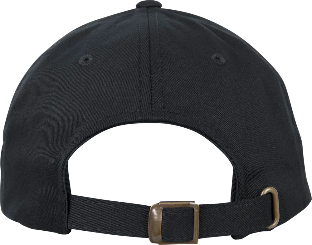 6 Panel Organic Cotton Cap