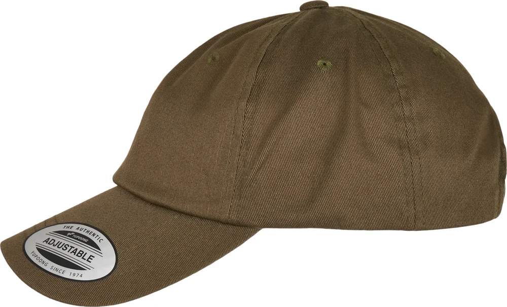 6 Panel Organic Cotton Cap