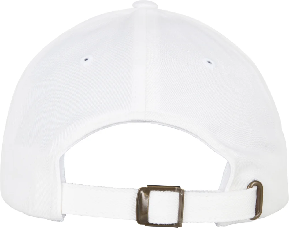 6 Panel Organic Cotton Cap