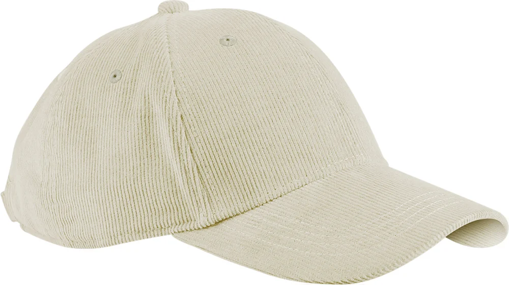 6 Panel EarthAware® cap