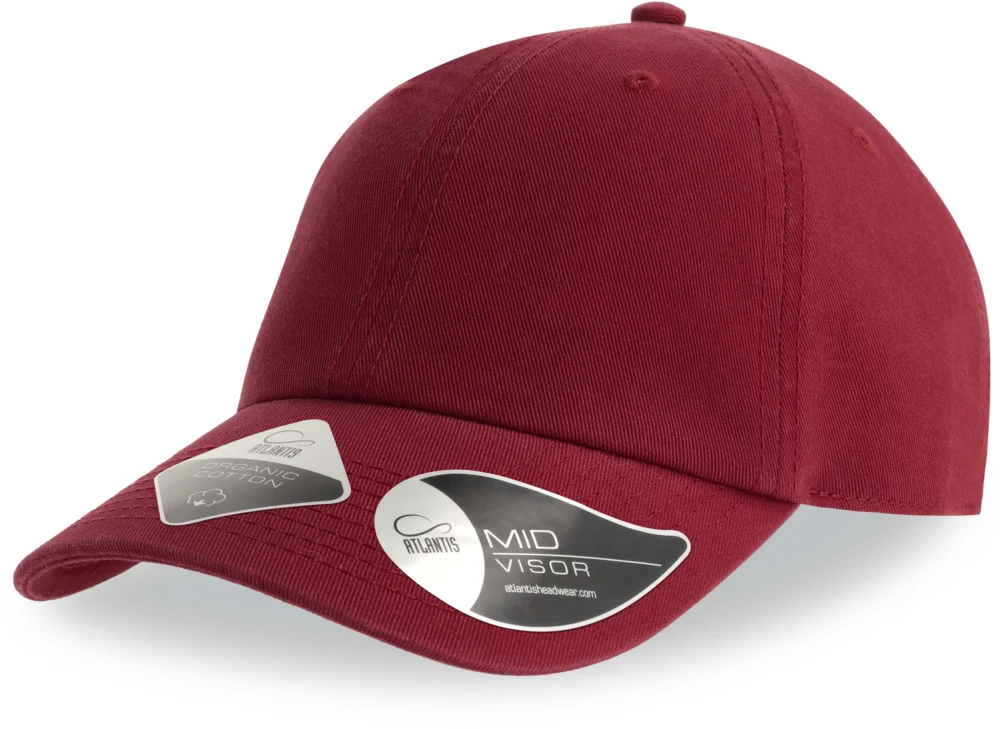 6 Panel Kappe