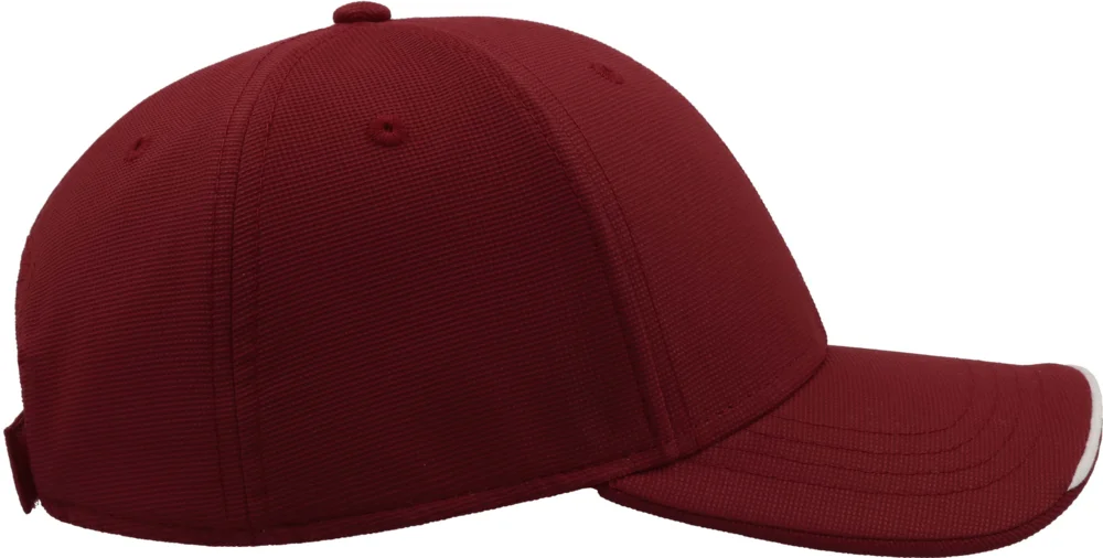 6 Panel Cap