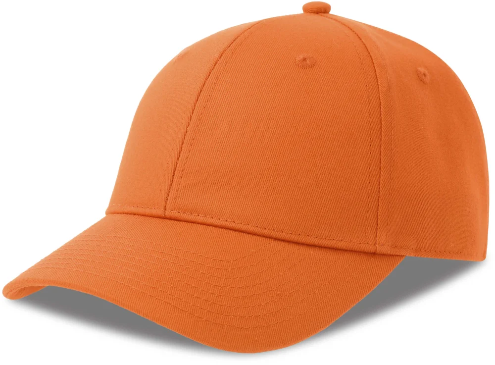 6 Panel Kappe