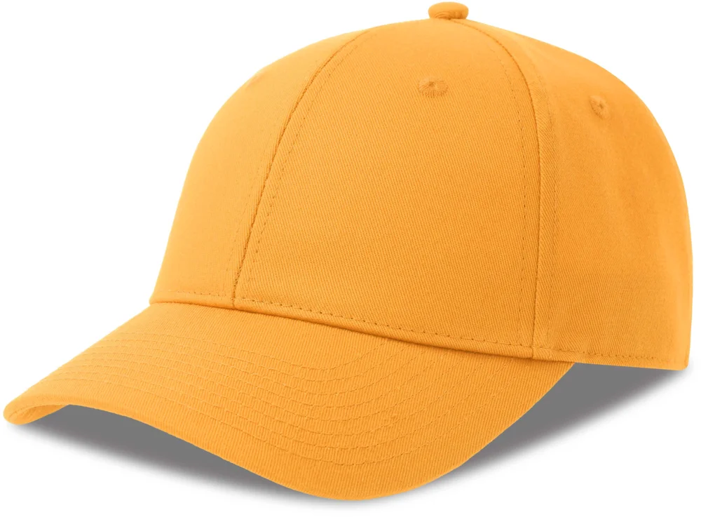 6 Panel Kappe
