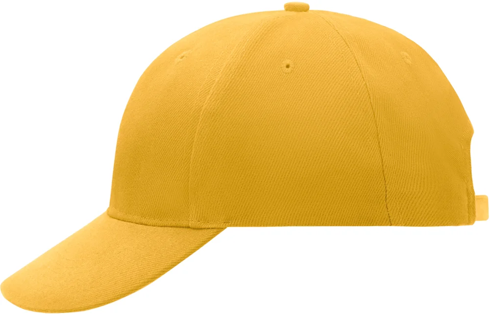 6 Panel Cap laminated