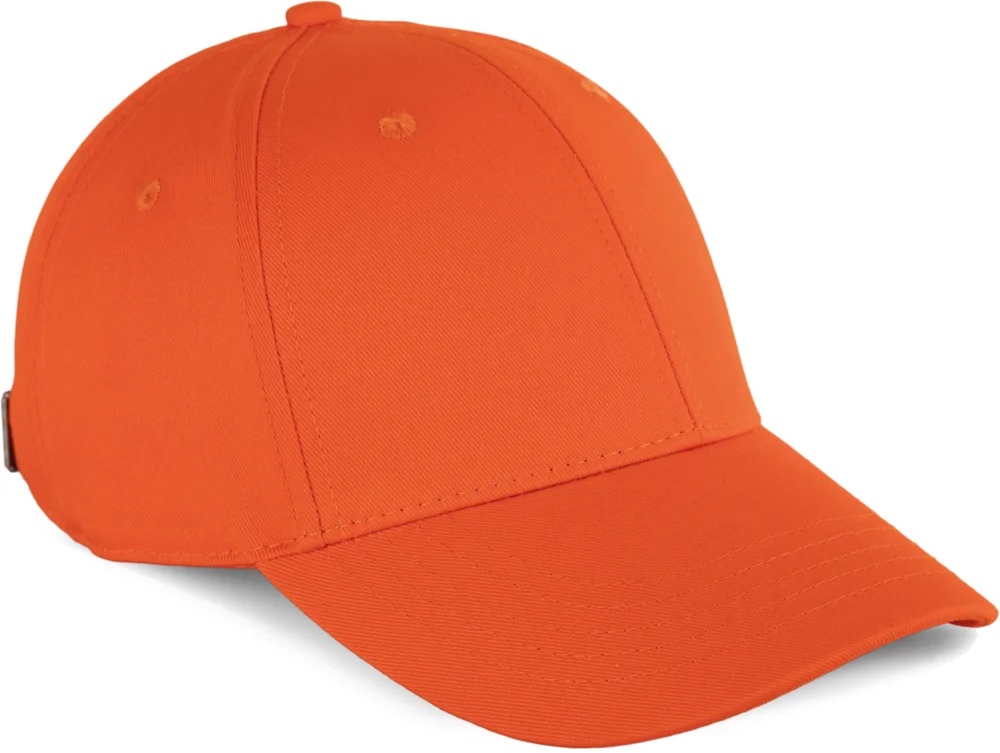 6 Panel Cap