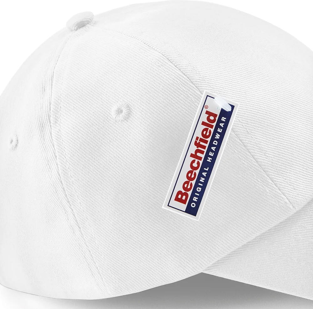 6 Panel Low Profile Cap