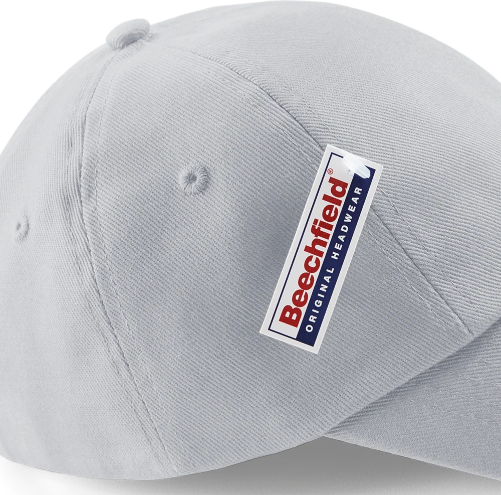 6 Panel Low Profile Cap