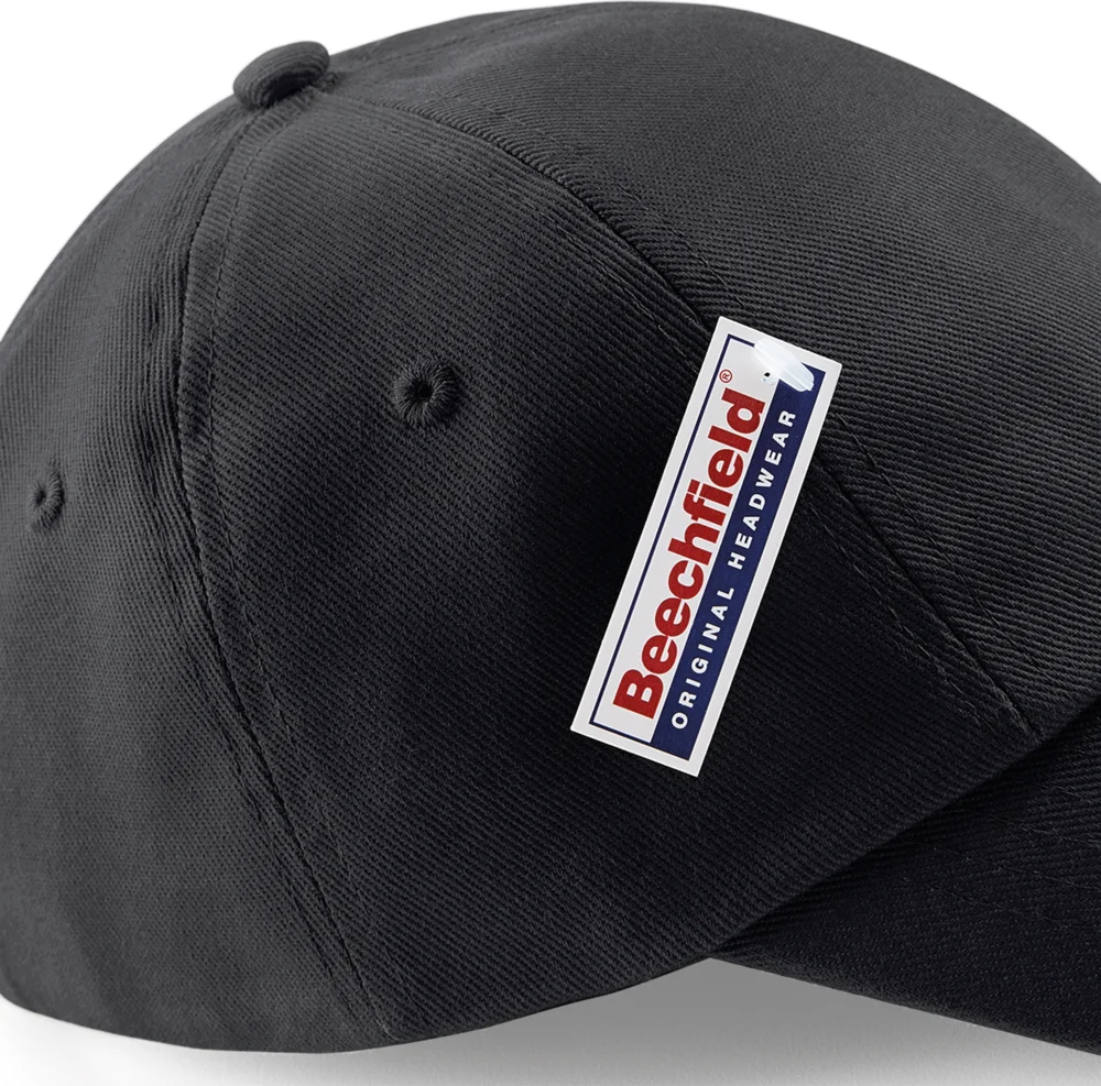 6 Panel Low Profile Cap