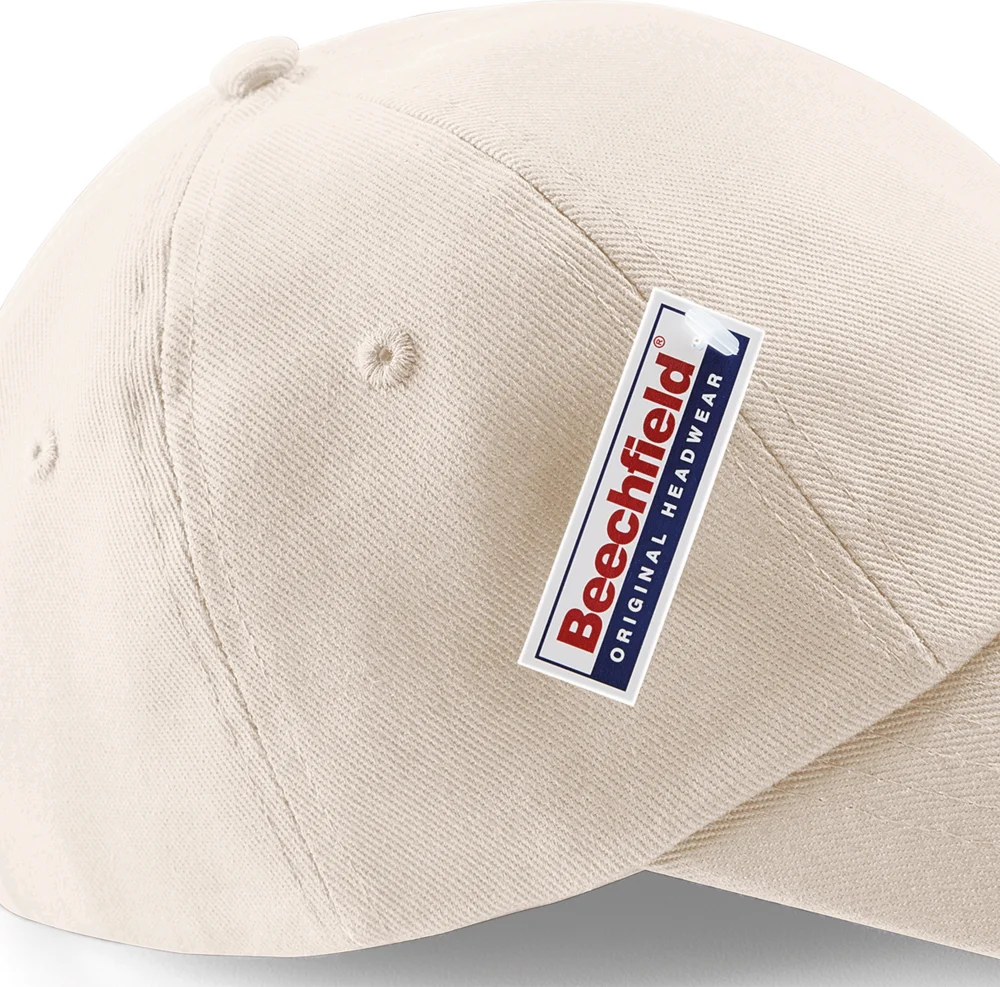 6 Panel Low Profile Cap