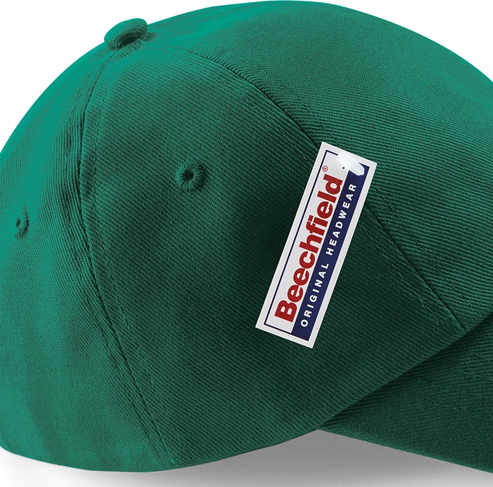 6 Panel Low Profile Cap