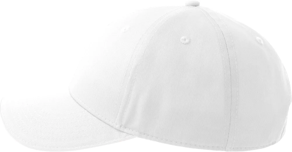 6 Panel Sandwich Cap