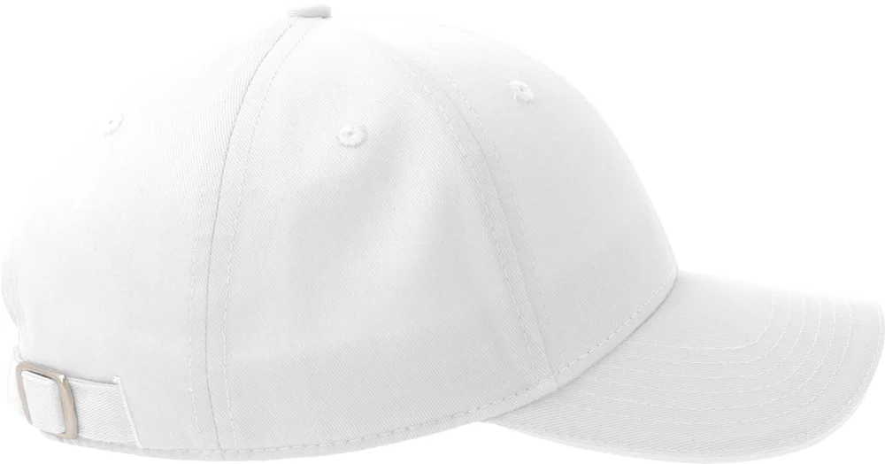6 Panel Sandwich Cap