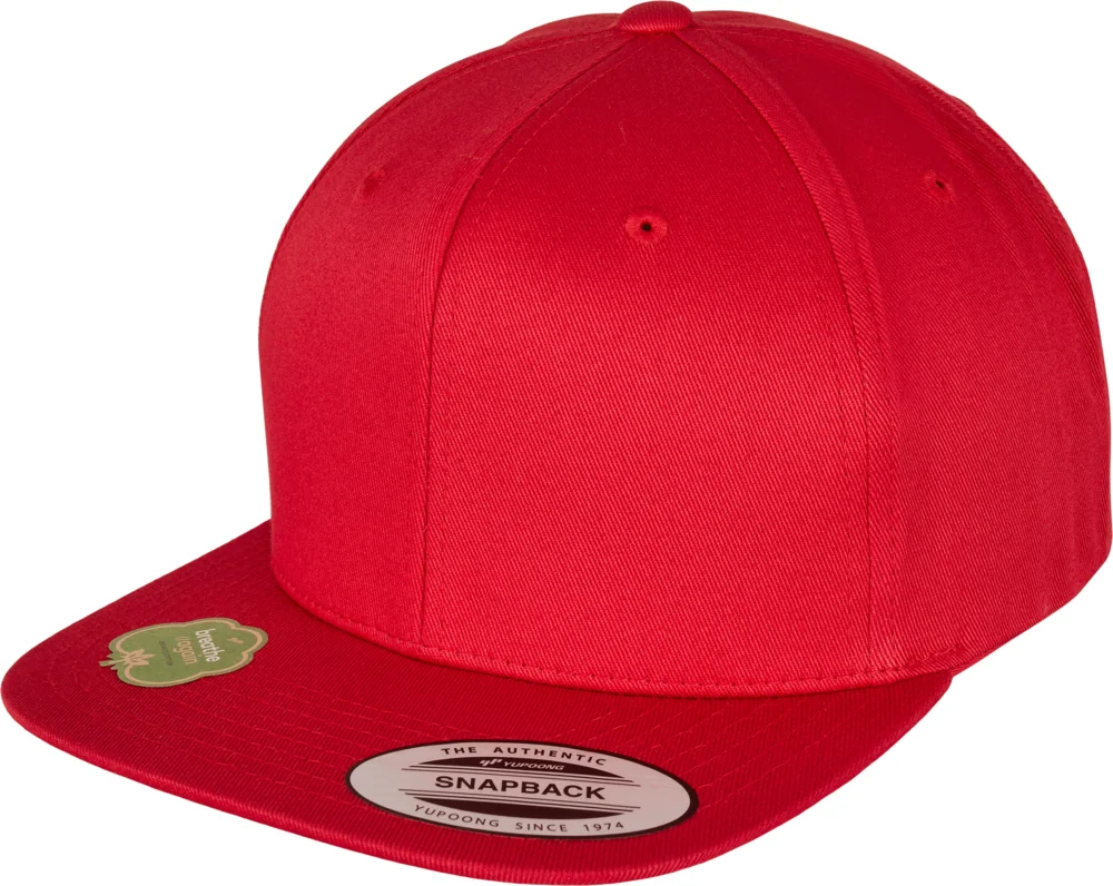6 Panel Snapback Bio Kappe