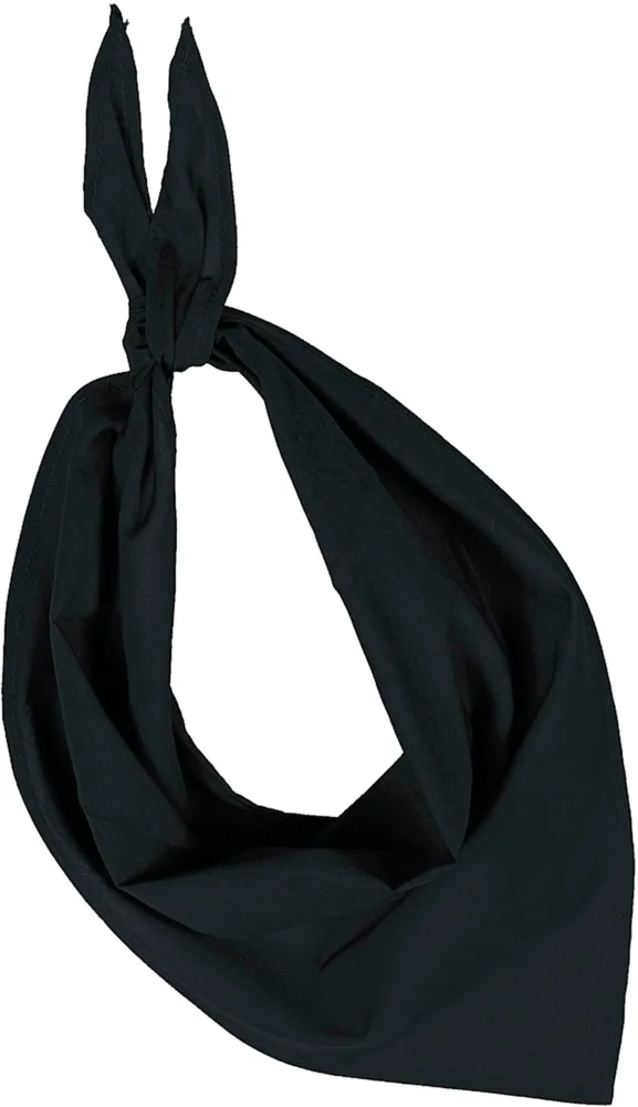 Bandana "Fiesta"