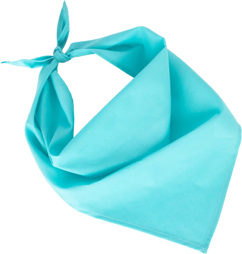 Bandana "Fiesta"