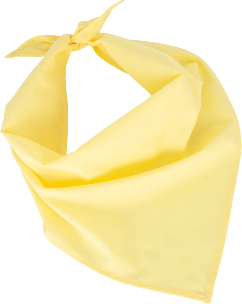Bandana "Fiesta"