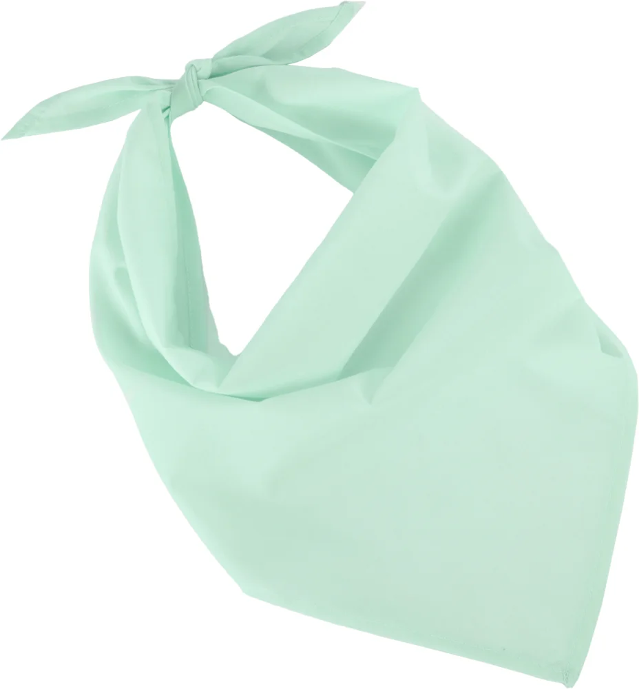 Bandana "Fiesta"