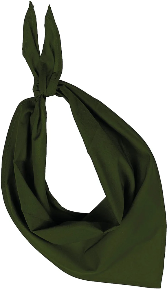 Bandana "Fiesta"