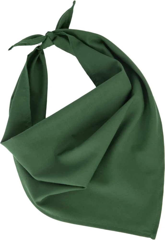 Bandana "Fiesta"