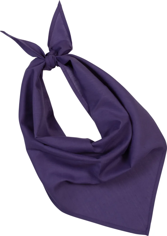 Bandana "Fiesta"