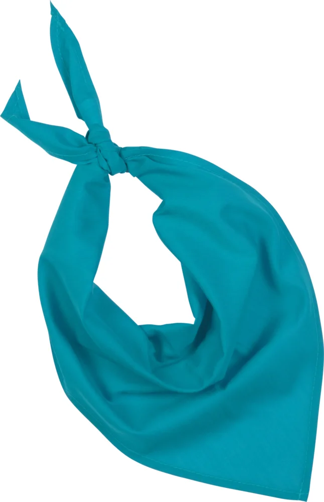 Bandana "Fiesta"