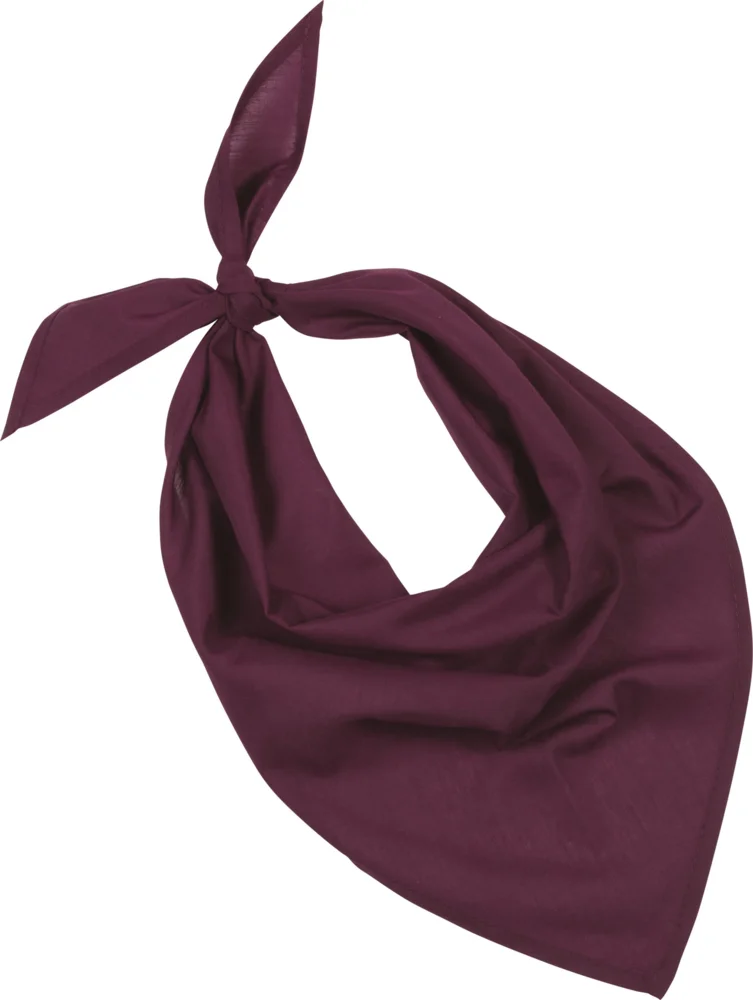 Bandana "Fiesta"