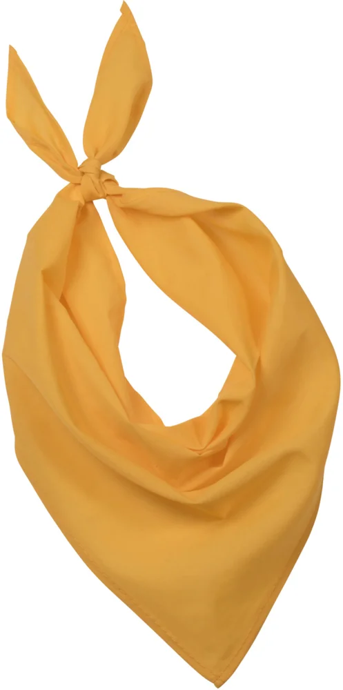 Bandana "Fiesta"
