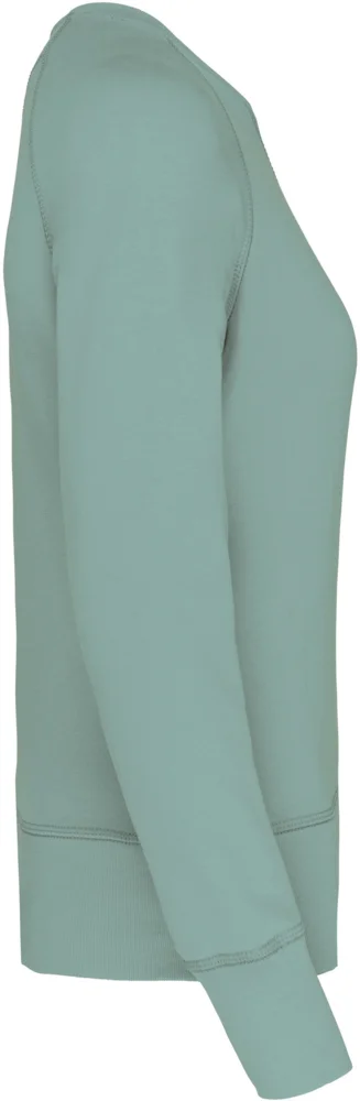 Damen Bio Raglan Sweater