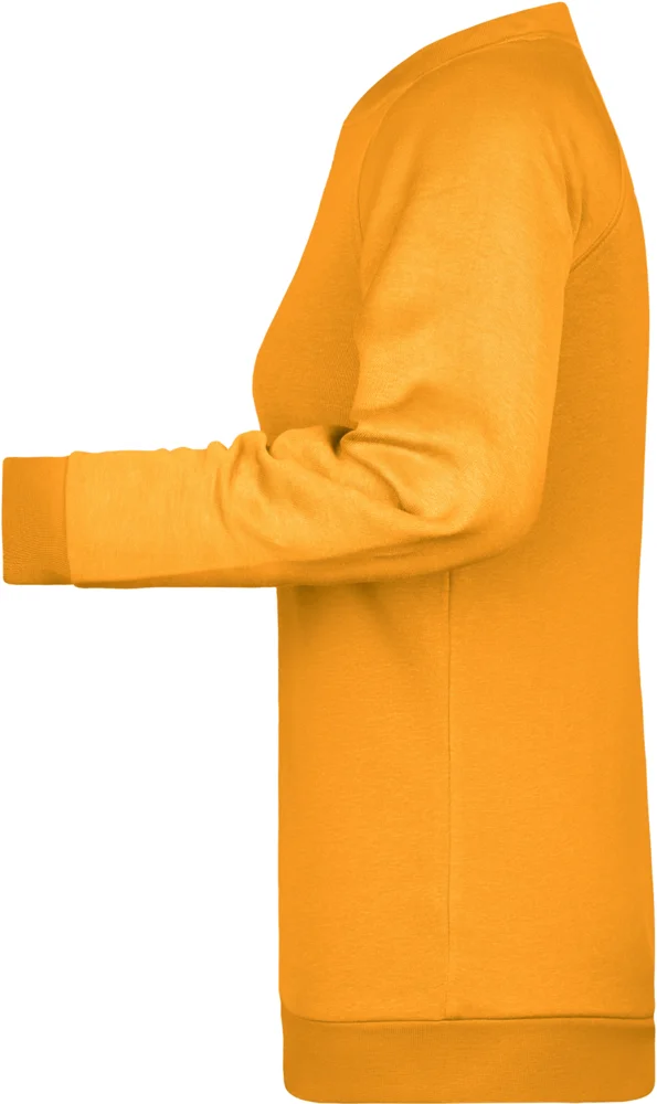 Ladies' Raglan Sweat