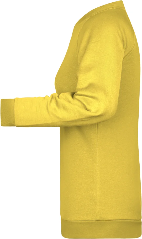 Ladies' Raglan Sweat