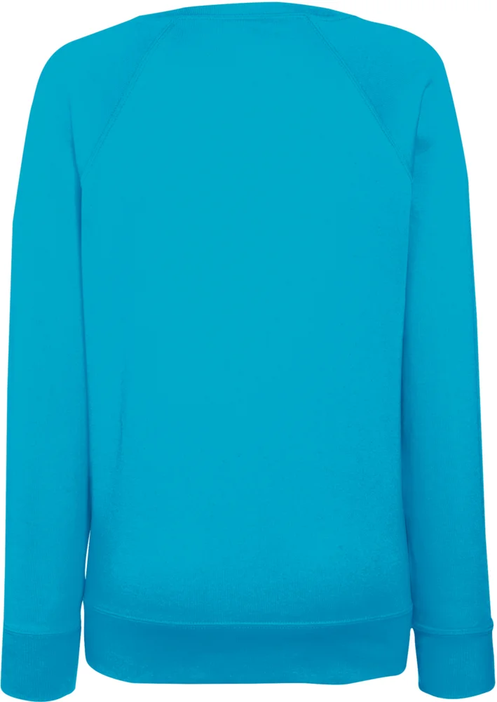 Damen Raglan Sweater