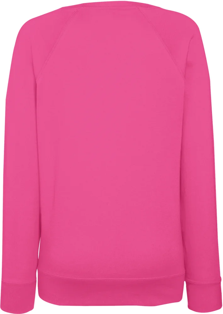 Damen Raglan Sweater