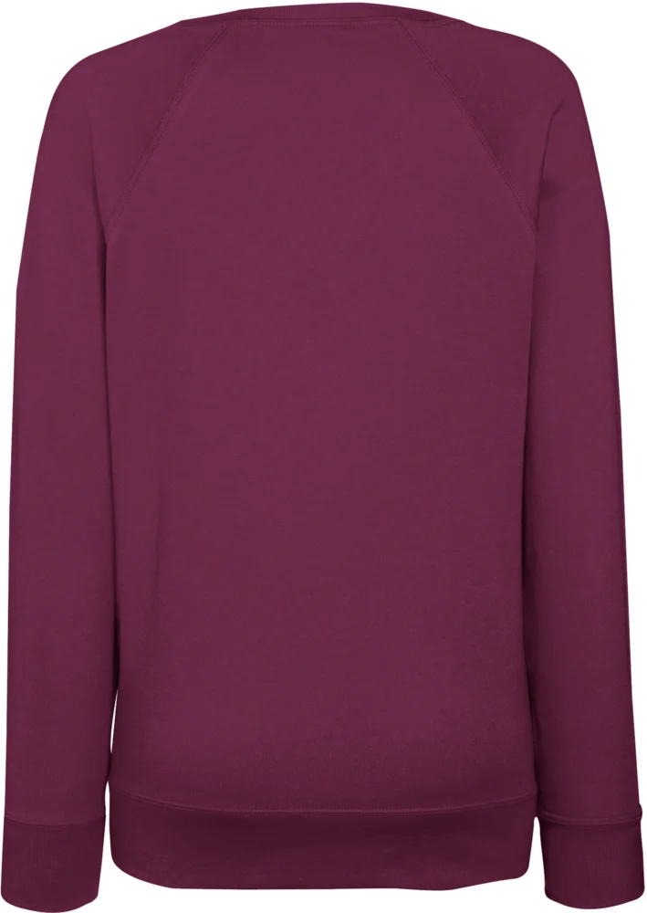 Damen Raglan Sweater