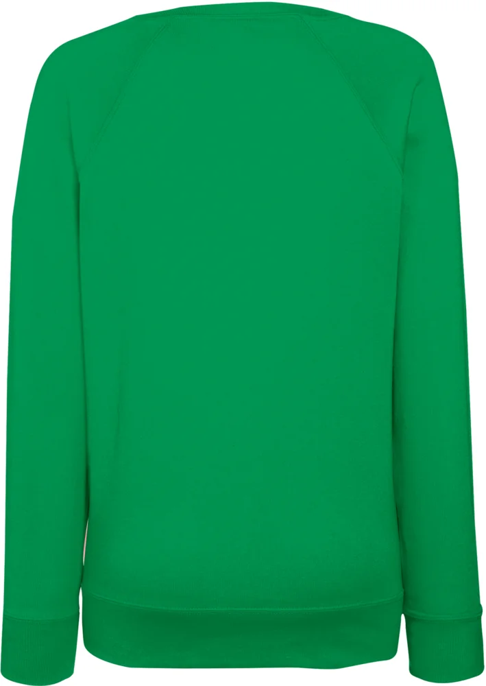 Damen Raglan Sweater